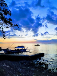 blue-ribbon-dive-resort-anilao-philippines (6)