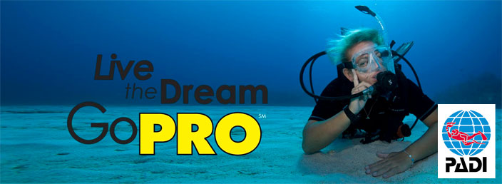 padi divemaster course philippines