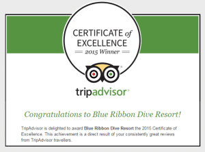 trip advisor certificate of excellence philippines