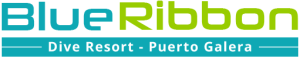 Blue Ribbon Divers Resort Anilao Batangas