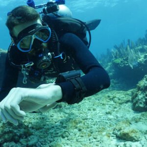 TDI Decompression Procedures Course blue ribbon dive resort philippines
