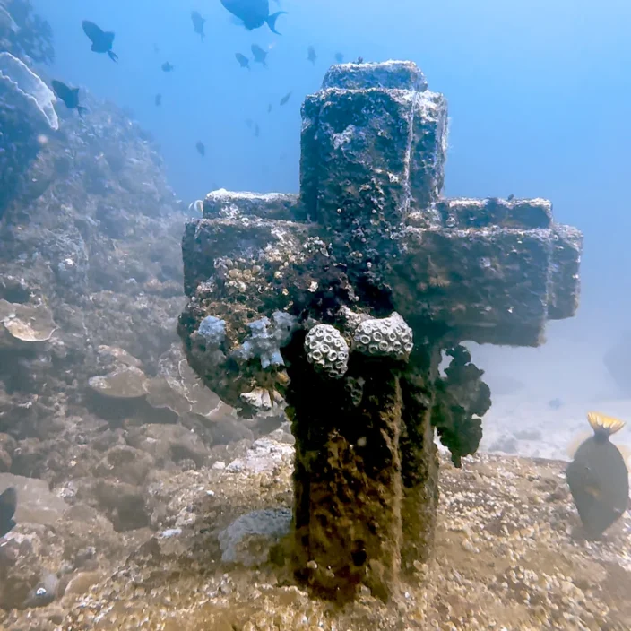 Cathedral Cross Photo