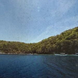 Dari-Laut Surface Photo