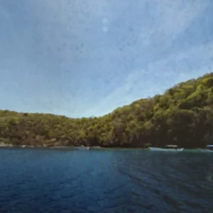 Daryl Laut Surface Shot